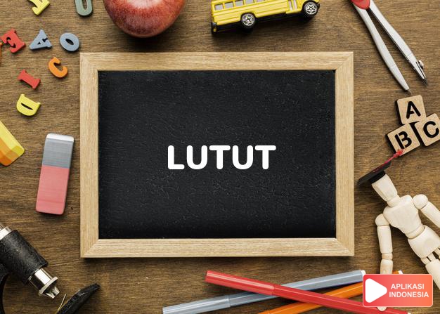 antonim lutut adalah anom dalam Kamus Bahasa Indonesia online by Aplikasi Indonesia