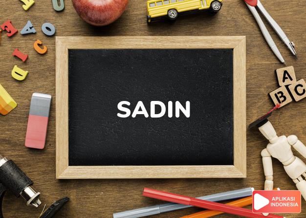 arti nama Sadin adalah Pandai menenun (bentuk lain dari Sadina)