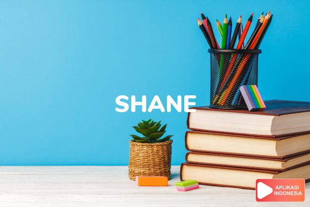 arti nama Shane adalah Bentuk Inggris dari bahasa Gaelic-Irlandia, SeÃ¡n, menggambarkan lafal Irlandia Utara  dari nama tersebut