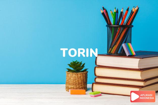 arti nama Torin adalah Dari bukit-bukit terjal