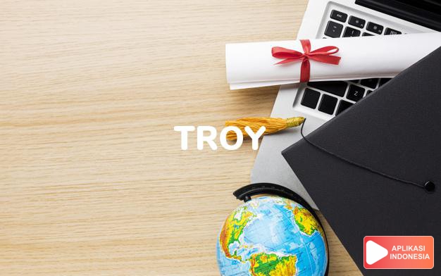 arti nama Troy adalah Merupakan nama tempat Troyes di Perancis. Nama ini diasosiasikan dengan kota Troy di Asia Minor, yang berasal dari topik utama cerita pahlawan Homer sampai sekarang, yaitu serita tentang Troy yang dikepung oleh Yunani 10 tahun lamanya