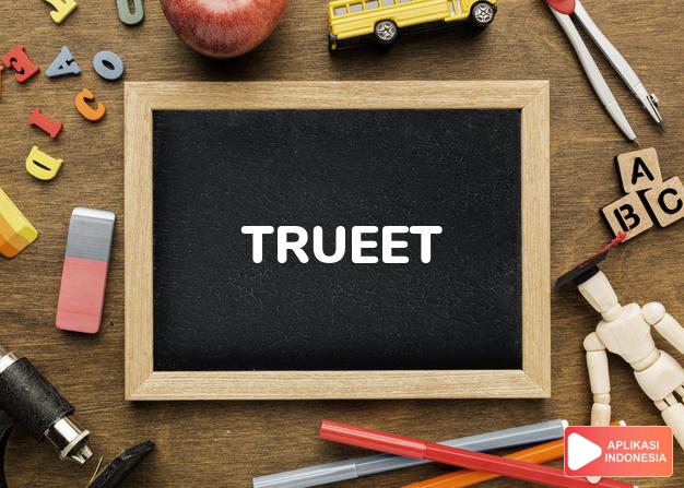 arti nama Trueet adalah (Bentuk lain dari Truitt) kecil namun jujur