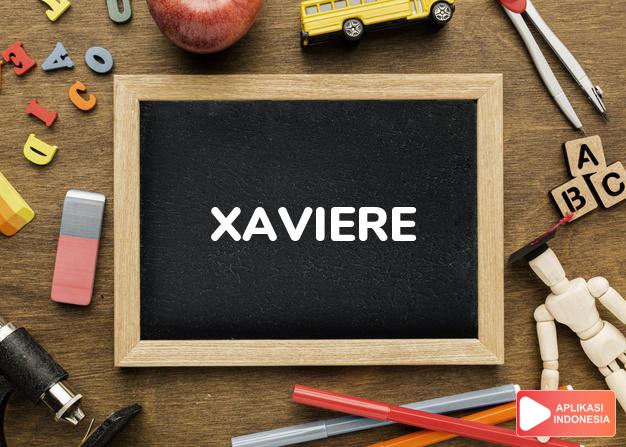 arti nama Xaviere adalah (bentuk lain dari Xaviera) terang