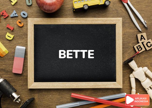 arti nama Bette adalah Bentuk lain dari Bet,dihubungkan dengan artis film Bette Davis (1908-1989),yang nama aslinya adalah Ruth Elizabeth Davis.