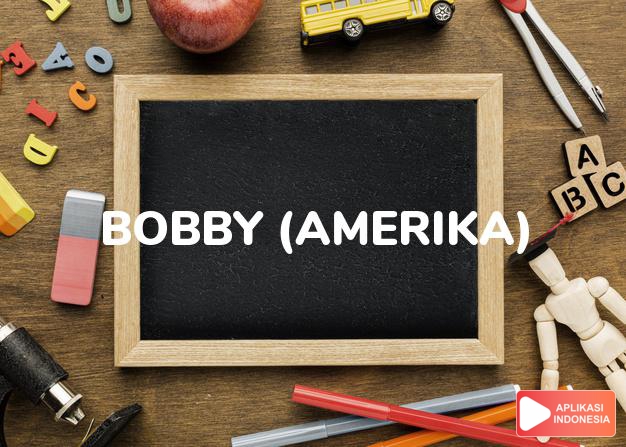 arti nama bobby (amerika) adalah terang benderang