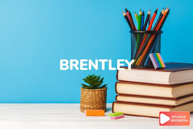arti nama Brentley adalah (Bentuk lain dari Brent) puncak bukit