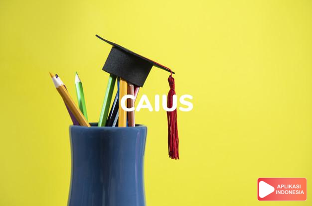 arti nama Caius adalah Nama Latin klasik Gaius.Nama ini dipakai oleh diktator Romawi, Caius Julius Caesar.