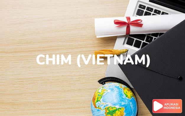 arti nama chim (vietnam) adalah burung
