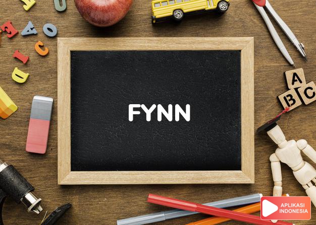 arti nama Fynn adalah nama Ghana setelah Sungai Offin.
