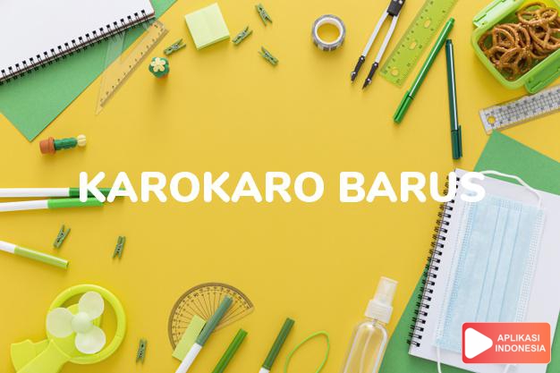 arti nama Karokaro Barus adalah Marga dari karokaro yang berada di daerah Barus Jahe, Pitu Kuta.