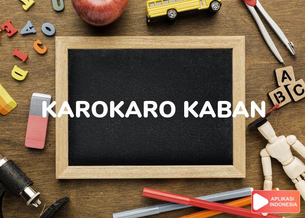 arti nama Karokaro Kaban adalah Marga Dari Karokaro Yang Berada Di Daerah Pernantin, Kabantua, Bintang Meriah, Buluh Naman, dan L. Lingga.