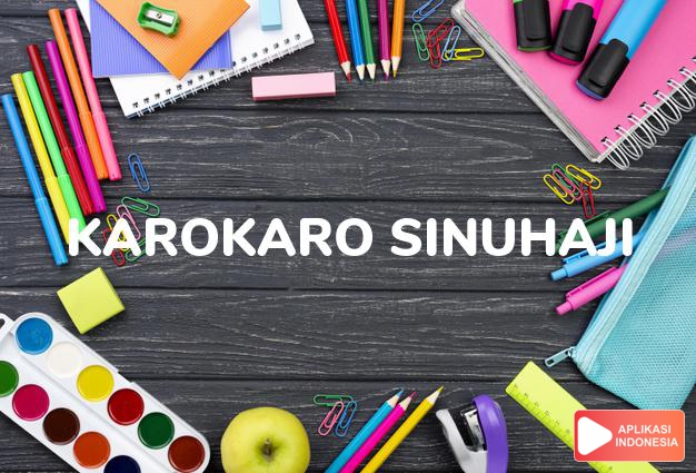 arti nama Karokaro Sinuhaji adalah Marga dari karokaro yang berada di daerah Ajisiempat.