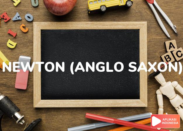 arti nama newton (anglo saxon) adalah dari tanah baru