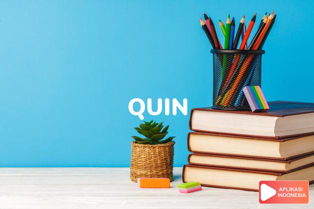 arti nama Quin adalah Singkatan dari Joaquin.