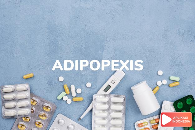 arti adipopexis adalah fiksasi atau menyimpan lemak. kata sifat: adipopetic. dalam kamus farmasi bahasa indonesia online by Aplikasi Indonesia
