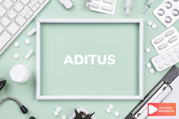 arti aditus adalah jamak. aditus [L]. istilah umum untuk muara atau tempat masuk organ atau bagiannya. dalam kamus farmasi bahasa indonesia online by Aplikasi Indonesia