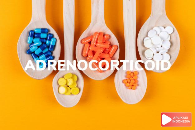arti adrenocorticoid adalah hormon-hormon steroid yang dibentuk dalam korteks adrenal; lihat kortikosteroid. dalam kamus farmasi bahasa indonesia online by Aplikasi Indonesia