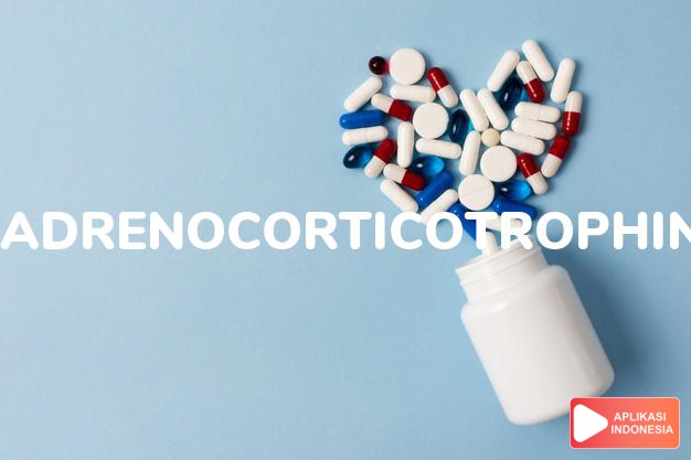 arti adrenocorticotrophin adalah kortikotropin. dalam kamus farmasi bahasa indonesia online by Aplikasi Indonesia