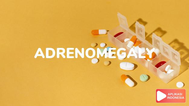 arti adrenomegaly adalah pembesaran salah  satu atau kedua  kelenjar adrenal. dalam kamus farmasi bahasa indonesia online by Aplikasi Indonesia