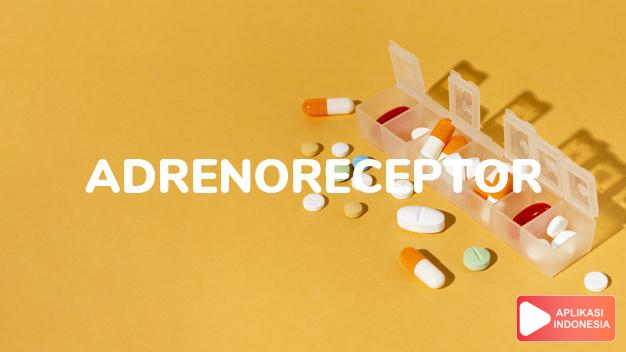 arti Adrenoreceptor adalah reseptor adrenergik. dalam kamus farmasi bahasa indonesia online by Aplikasi Indonesia