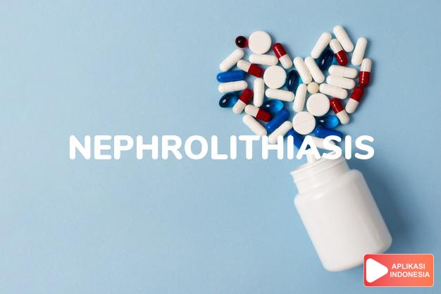 arti nephrolithiasis adalah Penyakit kencing batu dalam kamus farmasi bahasa indonesia online by Aplikasi Indonesia