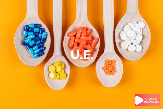 arti u.e. adalah singkatan dari : usus externusartinya : untuk obat luar dalam kamus farmasi bahasa indonesia online by Aplikasi Indonesia