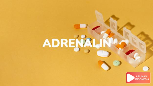 arti Adrenalin adalah <p>Adrenalin (epinefrin) adalah zat yang dilepaskan ke dalam aliran darah oleh kelenjar adrenal. Hormon ini dikenal sebagai hormon “stres“, karena sekresinya meningkat selama stres dan ketegangan. Adrenalin menyebabkan perubahan dalam tubuh, seperti denyut nadi dipercepat, dilatasi pupil, dan aliran darah meningkat ke otot-otot ekstremitas bawah. Digunakan secara medis, adrenalin berfungsi untuk resusitasi, pada Asma (melebarkan bronkus), pada operasi (menyempitkan pembuluh darah dan mengurangi perdarahan) dan banyak lagi.</p> dalam kamus kesehatan bahasa indonesia online by Aplikasi Indonesia