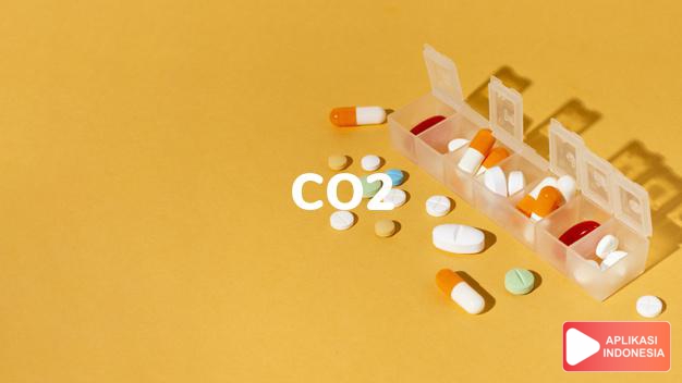 arti co2 adalah Carbondioksida dalam kamus kesehatan bahasa indonesia online by Aplikasi Indonesia