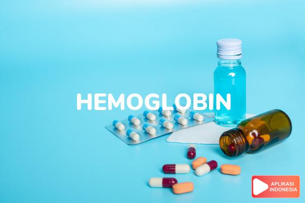 arti Hemoglobin A1c adalah <p>HemoglobinA1c (juga disebut tes HbA1c) adalah tes yang menunjukkan jumlah rata-rata gula dalam darah selama tiga bulan terakhir. Hasilnya akan menunjukkan apakah tingkat gula darah terkendali.</p> dalam kamus kesehatan bahasa indonesia online by Aplikasi Indonesia