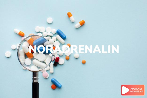 arti Noradrenalin adalah Noradrenalin adalah nama lain norepinefrin.<br> dalam kamus kesehatan bahasa indonesia online by Aplikasi Indonesia