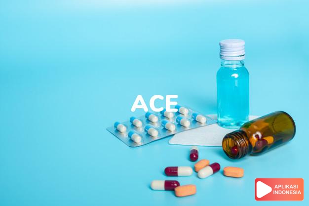 arti ACE inhibitor adalah <p><strong>Obat penghambat enzim pengubah angiotensin atau angiotensin-converting enzyme (ACE) inhibitor adalah obat yang berfungsi untuk melemaskan pembuluh darah. Di sisi lain, obat ini dapat membantu mengurangi jumlah cairan yang dapat diserap kembali oleh ginjal.</strong></p>

<p>Dengan kedua khasiat tersebut, ACE inhibitor banyak digunakan untuk mengatasi penyakit hipertensi (tekanan darah tinggi), gagal jantung, serangan jantung, sebagian penyakit yang terkait dengan diabetes, serta penyakit ginjal kronis.</p>

<p>ACE inhibitor bekerja dengan cara menghambat enzim dalam tubuh untuk memproduksi hormon angiotensin II atau zat yang dapat menyempitkan pembuluh darah dan meningkatkan kerja jantung. Dengan obat ini, pembuluh darah menjadi melebar, sehingga tekanan pada pembuluh darah berkurang, begitu pun jumlah cairan yang mengalir dalam pembuluh darah. Kondisi tersebut dapat membantu menurunkan tekanan darah dan meringankan kerja jantung.</p> dalam kamus obat bahasa indonesia online by Aplikasi Indonesia