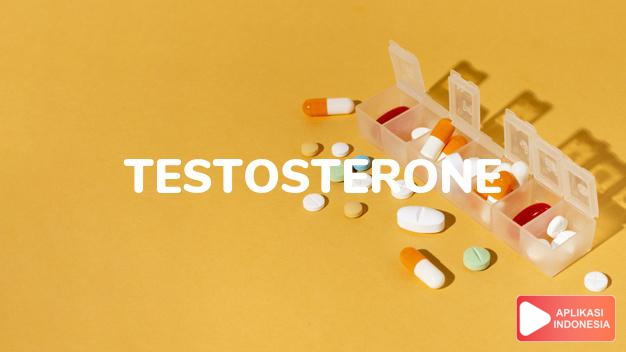 arti testosterone adalah <p>Testosterone adalah obat yang diberikan sebagai terapi pengganti hormon, saat kadar testosteron dalam tubuh sangat rendah. Salah satu contoh penggunaan obat ini adalah pada kasus hipogonadisme pada pria, di mana tubuh tidak memproduksi hormon  testosteron secara cukup. Kekurangan testosteron dapat menyebabkan gangguan kesuburan, gangguan ereksi, serta terhambatnya pubertas dan pertumbuhan organ reproduksi pada pria.</p>

<p>Testosterone adalah hormon seksual pada pria yang dihasilkan oleh testis secara alami. Hormon ini memiliki beberapa fungsi dalam tubuh pria, seperti:</p>

<ul>
<li>Mendorong pertumbuhan rambut pada muka dan tubuh.</li>
<li>Membuat suara makin berat.</li>
<li>Membantu perkembangan organ kelamin</li>
<li>Membantu produksi sel darah merah.</li>
<li>Membantu produksi sperma.</li>
<li>Memelihara kepadatan tulang.</li>
<li>Mempertahankan gairah seksual.</li>
<li>Mempertahankan kesuburan.</li>
</ul>

<p>Dalam kondisi normal, kadar hormon testosteron tertinggi terjadi pada masa remaja dan dewasa muda. Setelah itu, menurun secara bertahap seiring pertambahan usia.</p> dalam kamus obat bahasa indonesia online by Aplikasi Indonesia