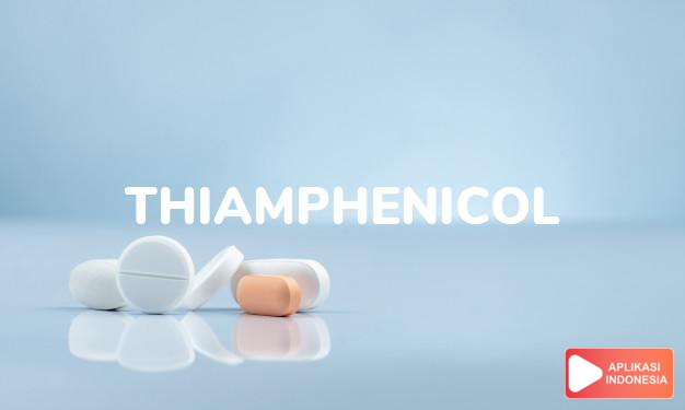 arti thiamphenicol adalah <p>Thiamphenicol adalah obat antibiotik yang digunakan untuk menangani infeksi bakteri. Sejumlah bakteri yang mampu ditangani dengan thiamphenicol, yaitu infeksi bakteri <em>Salmonella</em>penyebab tifus dan<em> Neisseria</em> yang menyebabkan gonore.</p>

<p>Thiamphenicol memiliki spektrum luas yang aktivitasnya mirip dengan chloramphenicol. Keduanya termasuk golongan antibiotik yang bekerja dengan cara membunuh bakteri penyebab infeksi.</p> dalam kamus obat bahasa indonesia online by Aplikasi Indonesia