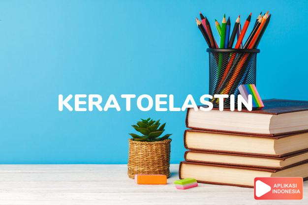 arti keratoelastin adalah  dalam Kamus Besar Bahasa Indonesia KBBI online by Aplikasi Indonesia