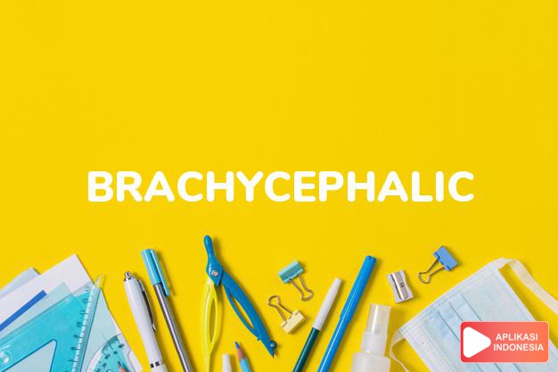 arti brachycephalic adalah ks. mempunyai kepala yang dan lebar. dalam Terjemahan Kamus Bahasa Inggris Indonesia Indonesia Inggris by Aplikasi Indonesia