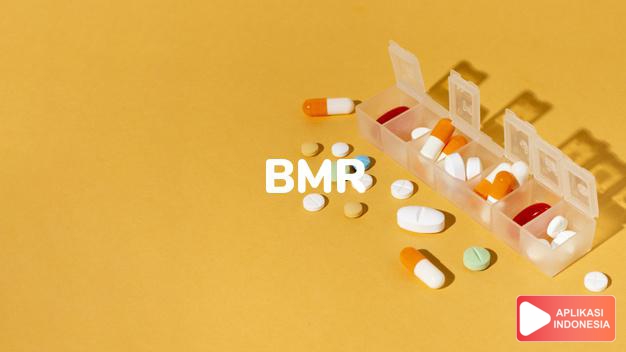 arti bmr adalah Basal Metabolic Rate dalam kamus kesehatan bahasa indonesia online by Aplikasi Indonesia