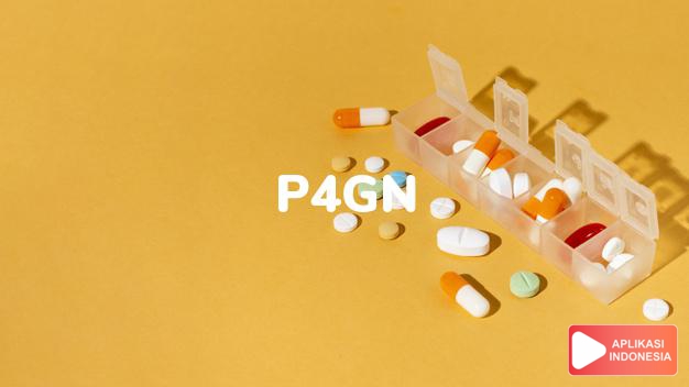 arti p4gn adalah Pencegahan Pemberantasan Penyalahgunaan dan Peredaran Gelap Narkoba dalam kamus kesehatan bahasa indonesia online by Aplikasi Indonesia