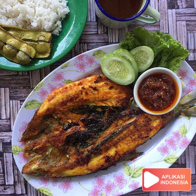 Resep Masakan Bandeng Bakar Sehari Hari di Rumah - Aplikasi Indonesia