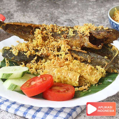 Resep Masakan Lele Goreng Kremes Sehari Hari di Rumah - Aplikasi Indonesia